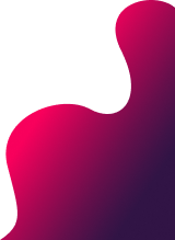 Web-Developer