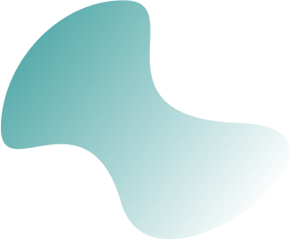 Web-Developer