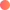Web-Developer